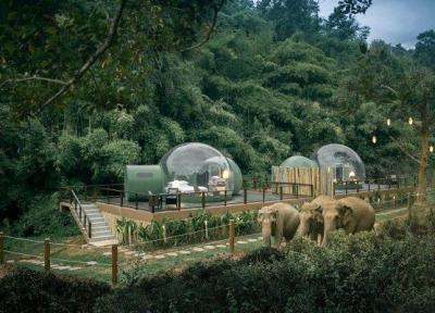 راه اندازی هتل جنگلی حبابی برای همنشینی با فیل ها