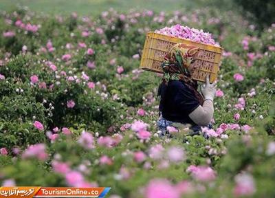 باغ های اِرم در فارس احداث می گردد