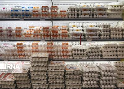 خبرنگاران تشکیل بارانداز تخم مرغ در استان ها با دستور وزیر جهاد کشاورزی