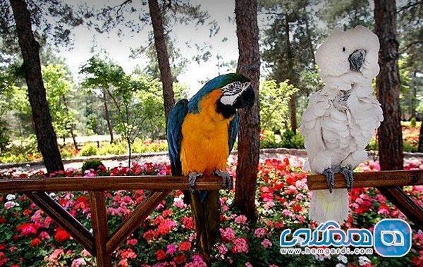 طراحی ویلا در سطح شیبدار: باغ پرندگان یکی از جاهای دیدنی پرطرفدار تهران است