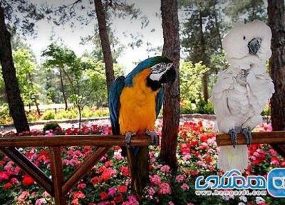 طراحی ویلا در سطح شیبدار: باغ پرندگان یکی از جاهای دیدنی پرطرفدار تهران است