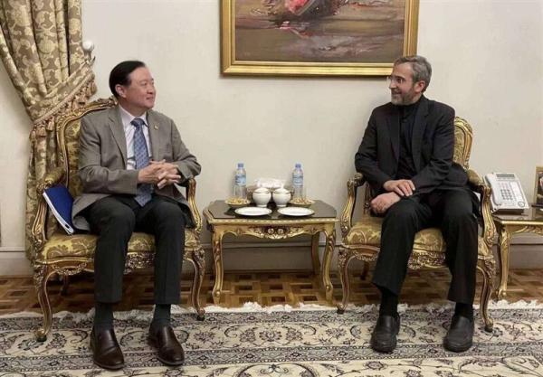 ملاقات سفیر چین با علی باقری